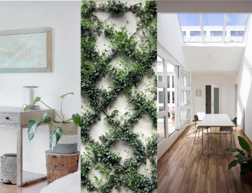 How to Go Green in Your Design